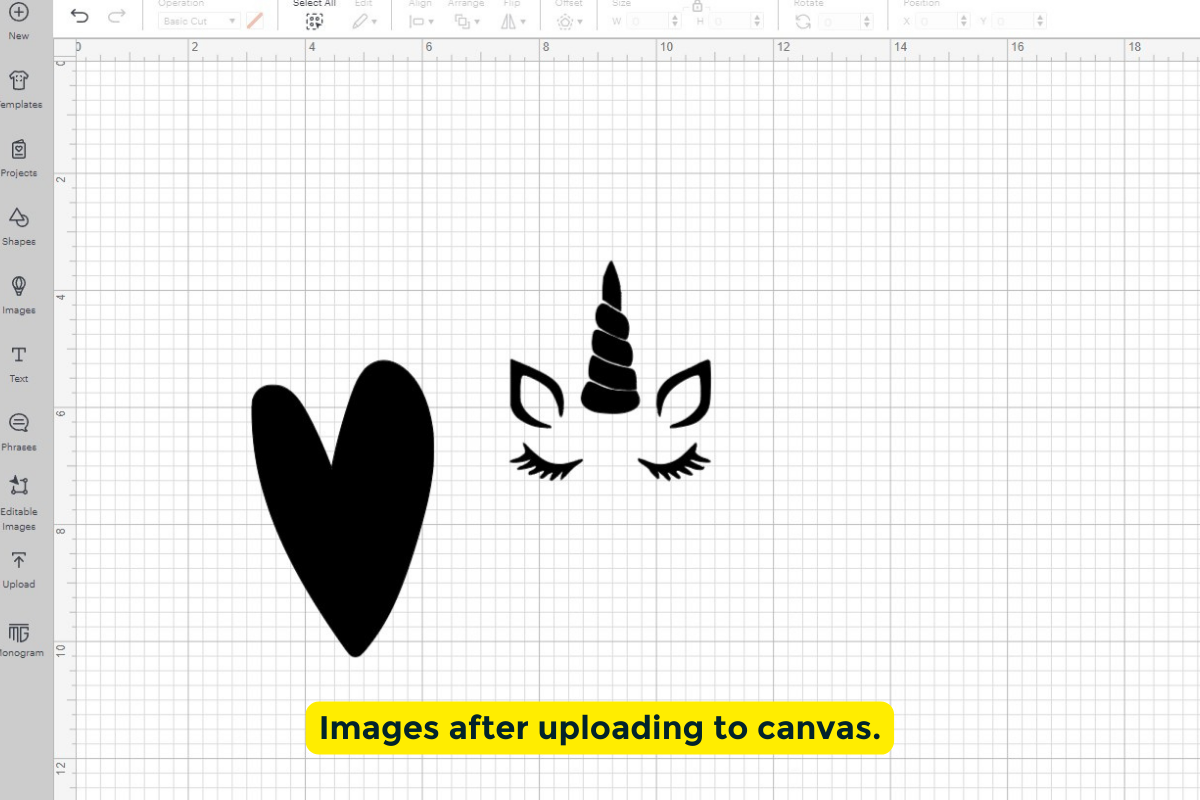Images after uploading them to the canvas. 